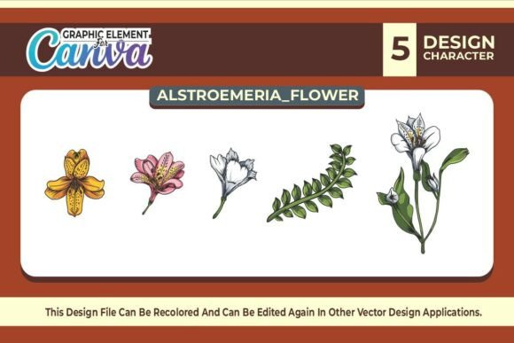 Alstroemeria Flowers Graphic Vector Set for Canva & Graphics