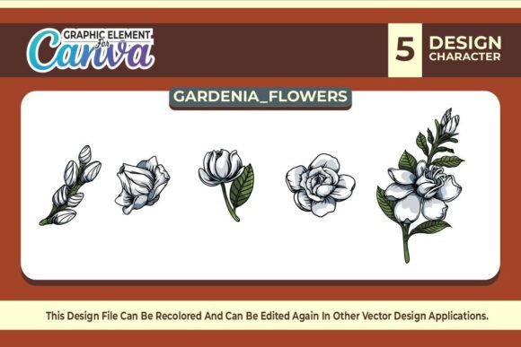 Gardenia Flowers Graphic Element Vector for Canva & Crafts