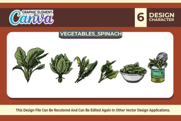 Spinach Vegetables Vector Set